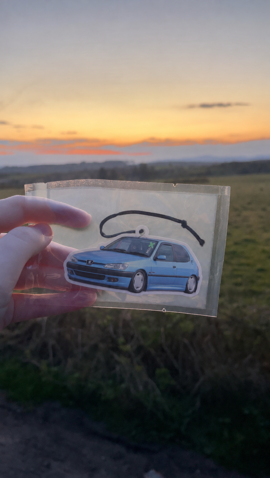 CUSTOM CAR AIR FRESHENERS (NOT ILLUSTRATED)